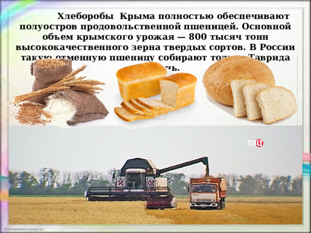  Хлеборобы Крыма полностью обеспечивают полуостров продовольственной пшеницей. Основной объем крымского урожая — 800 тысяч тонн высококачественного зерна твердых сортов. В России такую отменную пшеницу собирают только Таврида и Кубань. 