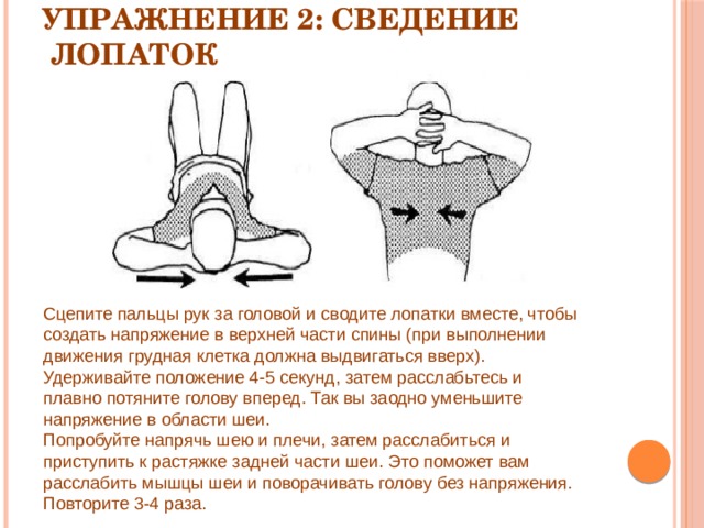 Сведение помощь. Сведение лопаток упражнение. Упражнения для сведения лопаток вместе. Упражнение сводим лопатки. Упражнения для спины сведение лопаток.