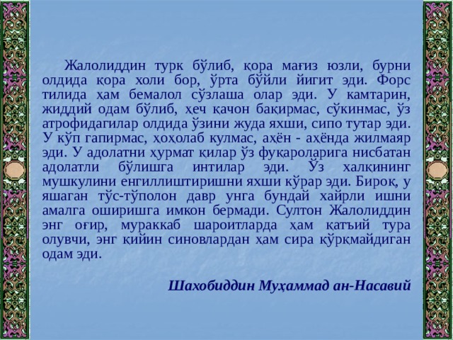Жалолиддин турк бўлиб, қора мағиз юзли, бурни олдида қора холи бор, ўрта бўйли йигит эди. Форс тилида ҳам бемалол сўзлаша олар эди. У камтарин, жиддий одам бўлиб, ҳеч қачон бақирмас, сўкинмас, ўз атрофидагилар олдида ўзини жуда яхши, сипо тутар эди. У кўп гапирмас, ҳоҳолаб кулмас, аҳён - аҳёнда жилмаяр эди. У адолатни ҳурмат қилар ўз фуқароларига нисбатан адолатли бўлишга интилар эди. Ўз халқининг мушкулини енгиллиштиришни яхши кўрар эди. Бироқ, у яшаган тўс-тўполон давр унга бундай хайрли ишни амалга оширишга имкон бермади. Султон Жалолиддин энг оғир, мураккаб шароитларда ҳам қатъий тура олувчи, энг қийин синовлардан ҳам сира қўрқмайдиган одам эди. Шахобиддин Муҳаммад ан-Насавий 