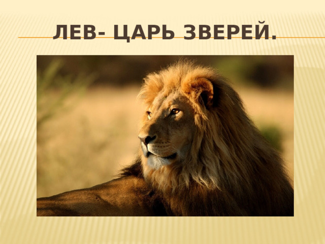 Лев- царь зверей. 