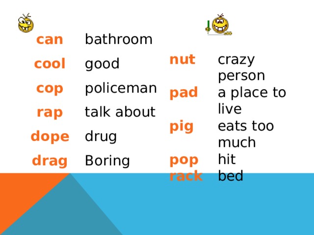 can cool bathroom cop good policeman rap talk about dope drug drag Boring nut crazy person pad a place to live pig eats too much pop hit rack bed 