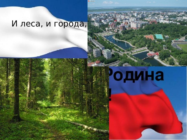 И леса, и города,   