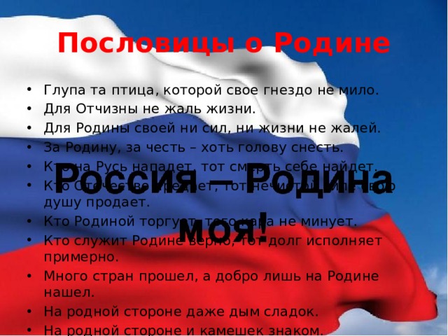 Объясни как ты понимаешь слова родина и отечество являются ли они синонимами запиши свое мнение