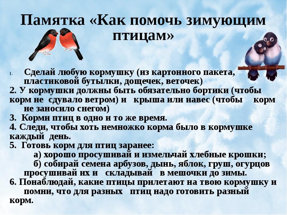 Инструкция птицы. Заметка о зимующих птицах. Поможем зимующим птицам. Памятка как помочь птицам пережить зиму. Беседы с детьми зима, зимующие птицы.