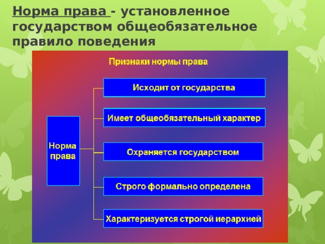 Норма права - установленное государством общеобязательное правило поведения   