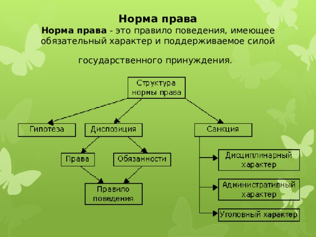 Норма права  Норма права - это правило поведения, имеющее обязательный характер и поддерживаемое силой государственного принуждения.  Коробова Е.В. 