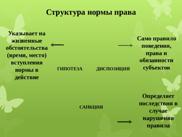 Структура нормы права Указывает на жизненные обстоятельства (время, место) вступления нормы в действие Само правило поведения, права и обязанности субъектов ДИСПОЗИЦИЯ ГИПОТЕЗА Определяет последствия в случае нарушения правила САНКЦИЯ 12 