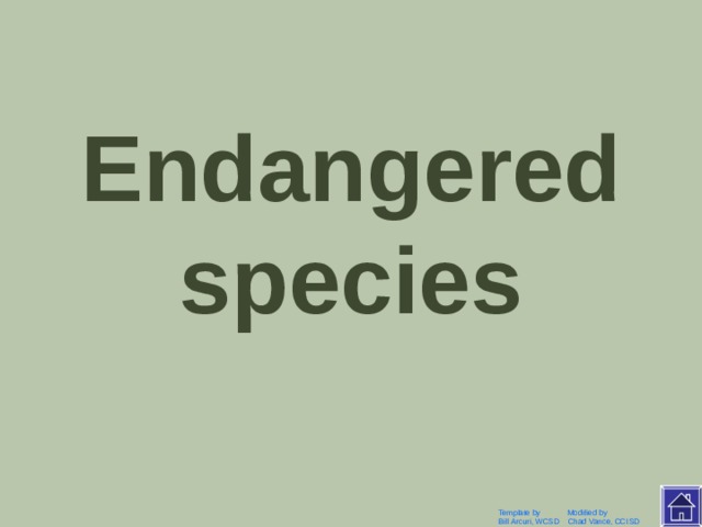 Вымирающие животные Template by Modified by Bill Arcuri, WCSD Chad Vance, CCISD 