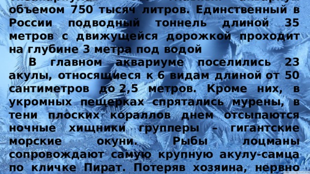 Главная достопримечательность океанариума - это главный аквариум объемом 750 тысяч литров. Единственный в России подводный тоннель длиной 35 метров с движущейся дорожкой проходит на глубине 3 метра под водой  В главном аквариуме поселились 23 акулы, относящиеся к 6 видам длиной от 50 сантиметров до 2,5 метров. Кроме них, в укромных пещерках спрятались мурены, в тени плоских кораллов днем отсыпаются ночные хищники групперы – гигантские морские окуни. Рыбы лоцманы сопровождают самую крупную акулу-самца по кличке Пират. Потеряв хозяина, нервно мечется рыба-прилипала, пока опять не найдет подходящего «извозчика». 