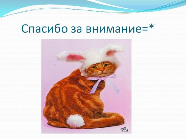 Спасибо за внимание котик для презентации