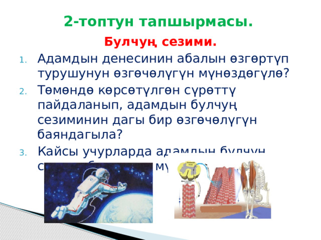 2-топтун тапшырмасы. Булчуң сезими. Адамдын денесинин абалын өзгөртүп турушунун өзгөчөлүгүн мүнөздөгүлө? Төмөндө көрсөтүлгөн сүрөттү пайдаланып, адамдын булчуң сезиминин дагы бир өзгөчөлүгүн баяндагыла? Кайсы учурларда адамдын булчуң сезими бузулушу мүмкүн? 