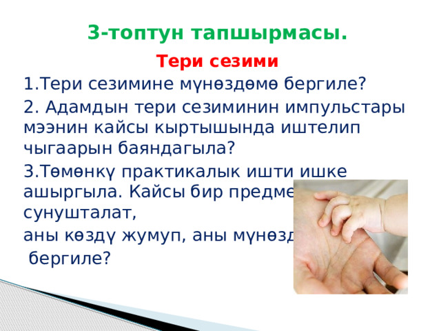 3-топтун тапшырмасы. Тери сезими 1.Тери сезимине мүнөздөмө бергиле? 2. Адамдын тери сезиминин импульстары мээнин кайсы кыртышында иштелип чыгаарын баяндагыла? 3.Төмөнкү практикалык ишти ишке ашыргыла. Кайсы бир предмет сунушталат, аны көздү жумуп, аны мүнөздөп  бергиле? 