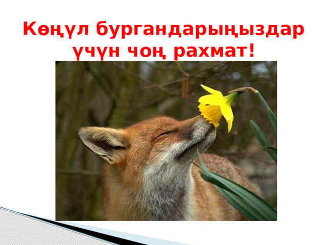 Көңүл бургандарыңыздар үчүн чоң рахмат! 