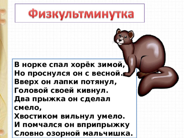 В норке спал хорёк зимой,  Но проснулся он с весной.  Вверх он лапки потянул,  Головой своей кивнул.  Два прыжка он сделал смело,  Хвостиком вильнул умело.  И помчался он вприпрыжку  Словно озорной мальчишка. 