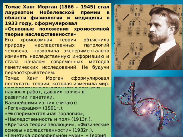 Развитие теории наследственности. Хромосомная теория Томаса Моргана.