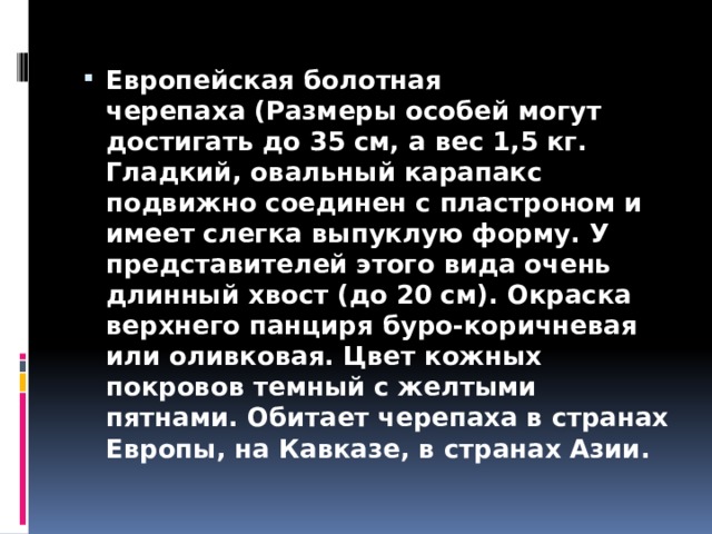 Европейская болотная черепаха (Размеры особей могут достигать до 35 см, а вес 1,5 кг. Гладкий, овальный карапакс подвижно соединен с пластроном и имеет слегка выпуклую форму. У представителей этого вида очень длинный хвост (до 20 см). Окраска верхнего панциря буро-коричневая или оливковая. Цвет кожных покровов темный с желтыми пятнами. Обитает черепаха в странах Европы, на Кавказе, в странах Азии. 