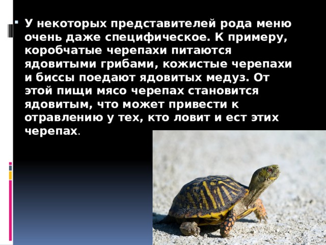 У некоторых представителей рода меню очень даже специфическое. К примеру, коробчатые черепахи питаются ядовитыми грибами, кожистые черепахи и биссы поедают ядовитых медуз. От этой пищи мясо черепах становится ядовитым, что может привести к отравлению у тех, кто ловит и ест этих черепах . 