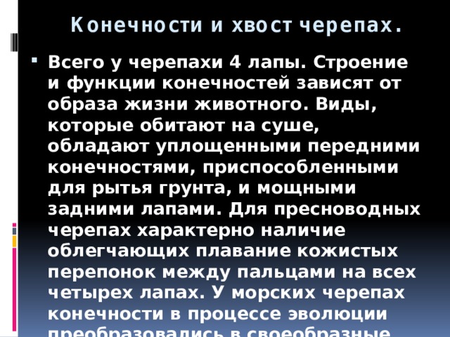 Конечности и хвост черепах. Всего у черепахи 4 лапы. Строение и функции конечностей зависят от образа жизни животного. Виды, которые обитают на суше, обладают уплощенными передними конечностями, приспособленными для рытья грунта, и мощными задними лапами. Для пресноводных черепах характерно наличие облегчающих плавание кожистых перепонок между пальцами на всех четырех лапах. У морских черепах конечности в процессе эволюции преобразовались в своеобразные ласты, причем размер передних намного превосходит задние. 