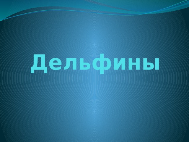 Дельфины 