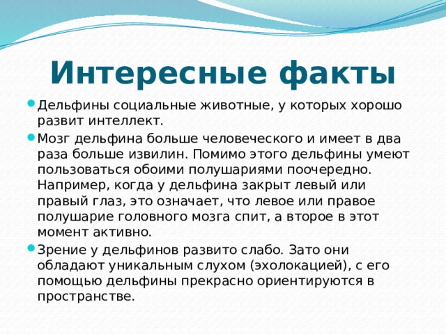 Интересные факты Дельфины социальные животные, у которых хорошо развит интеллект. Мозг дельфина больше человеческого и имеет в два раза больше извилин. Помимо этого дельфины умеют пользоваться обоими полушариями поочередно. Например, когда у дельфина закрыт левый или правый глаз, это означает, что левое или правое полушарие головного мозга спит, а второе в этот момент активно. Зрение у дельфинов развито слабо. Зато они обладают уникальным слухом (эхолокацией), с его помощью дельфины прекрасно ориентируются в пространстве. 