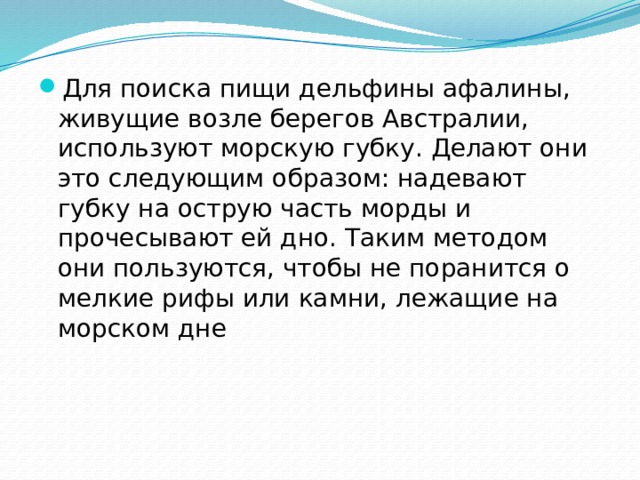 Для поиска пищи дельфины афалины, живущие возле берегов Австралии, используют морскую губку. Делают они это следующим образом: надевают губку на острую часть морды и прочесывают ей дно. Таким методом они пользуются, чтобы не поранится о мелкие рифы или камни, лежащие на морском дне 