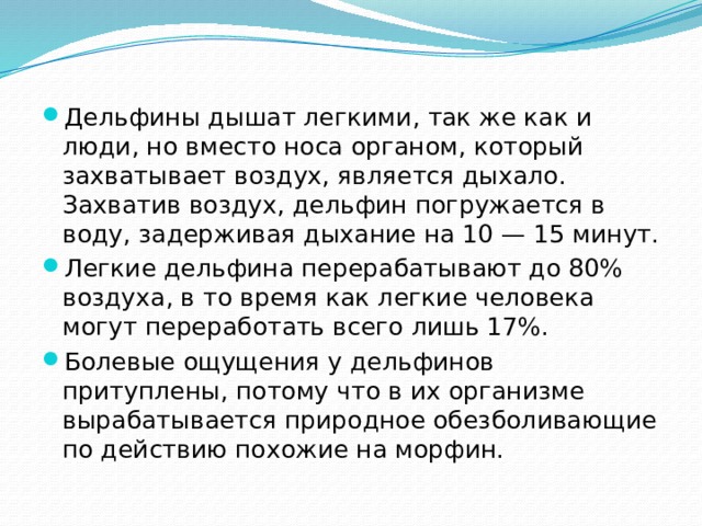Дельфины дышат легкими, так же как и люди, но вместо носа органом, который захватывает воздух, является дыхало. Захватив воздух, дельфин погружается в воду, задерживая дыхание на 10 — 15 минут. Легкие дельфина перерабатывают до 80% воздуха, в то время как легкие человека могут переработать всего лишь 17%. Болевые ощущения у дельфинов притуплены, потому что в их организме вырабатывается природное обезболивающие по действию похожие на морфин. 