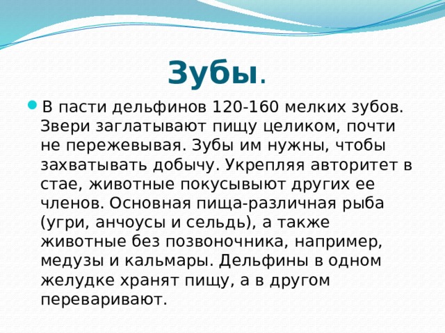 Зубы . В пасти дельфинов 120-160 мелких зубов. Звери заглатывают пищу целиком, почти не пережевывая. Зубы им нужны, чтобы захватывать добычу. Укрепляя авторитет в стае, животные покусывыют других ее членов. Основная пища-различная рыба (угри, анчоусы и сельдь), а также животные без позвоночника, например, медузы и кальмары. Дельфины в одном желудке хранят пищу, а в другом переваривают.    