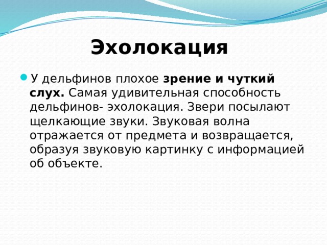 Эхолокация У дельфинов плохое  зрение и чуткий слух.  Самая удивительная способность дельфинов- эхолокация. Звери посылают щелкающие звуки. Звуковая волна отражается от предмета и возвращается, образуя звуковую картинку с информацией об объекте. 