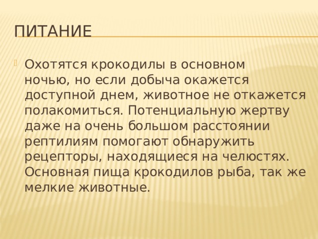 пиТАНИЕ Охотятся крокодилы в основном ночью, но если добыча окажется доступной днем, животное не откажется полакомиться. Потенциальную жертву даже на очень большом расстоянии рептилиям помогают обнаружить рецепторы, находящиеся на челюстях. Основная пища крокодилов рыба, так же мелкие животные. 