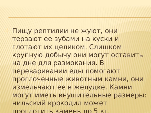 Пищу рептилии не жуют, они терзают ее зубами на куски и глотают их целиком. Слишком крупную добычу они могут оставить на дне для размокания. В переваривании еды помогают проглоченные животным камни, они измельчают ее в желудке. Камни могут иметь внушительные размеры: нильский крокодил может проглотить камень до 5 кг. 