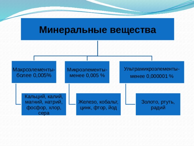 Роль минеральных веществ в почве