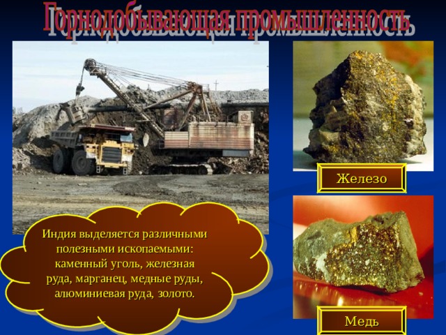 Железо Индия выделяется различными полезными ископаемыми: каменный уголь, железная руда, марганец, медные руды, алюминиевая руда, золото. Медь 