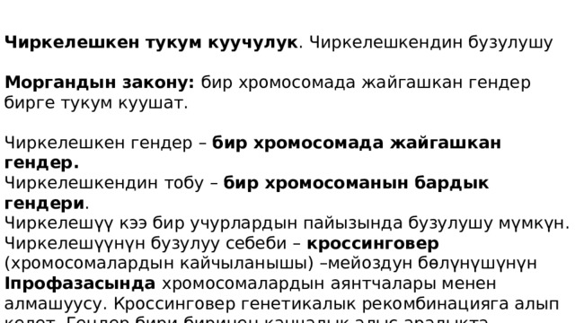Чиркелешкен тукум куучулук . Чиркелешкендин бузулушу Моргандын закону: бир хромосомада жайгашкан гендер бирге тукум куушат. Чиркелешкен гендер – бир хромосомада жайгашкан гендер. Чиркелешкендин тобу – бир хромосоманын бардык гендери . Чиркелешүү кээ бир учурлардын пайызында бузулушу мүмкүн. Чиркелешүүнүн бузулуу себеби – кроссинговер (хромосомалардын кайчыланышы) –мейоздун бөлүнүшүнүн Iпрофазасында хромосомалардын аянтчалары менен алмашуусу. Кроссинговер генетикалык рекомбинацияга алып келет. Гендер бири-биринен канчалык алыс аралыкта жайгашса, алардын ортосунда кроссинговер тезирээк болот. Ушул кубулушта генетикалык карталардын түзүлүшү - хромосомадагы гендердин иреттүүлүгүн жана алардын ортосундагы болжолдуу аралыгын аныктоо негизделинет. 