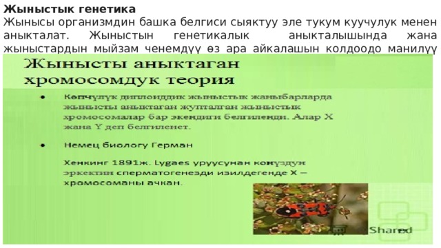 Жыныстык генетика Жынысы организмдин башка белгиси сыяктуу эле тукум куучулук менен аныкталат. Жыныстын генетикалык аныкталышында жана жыныстардын мыйзам ченемдүү өз ара айкалашын колдоодо манилүү роль хромосомалык аппаратка тиешелүү. 