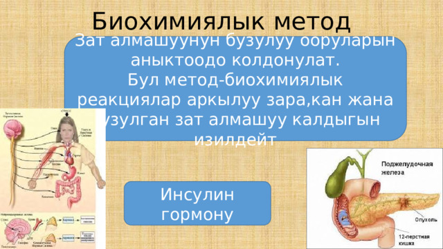 Биохимиялык метод Зат алмашуунун бузулуу ооруларын аныктоодо колдонулат. Бул метод-биохимиялык реакциялар аркылуу зара,кан жана бузулган зат алмашуу калдыгын изилдейт Инсулин гормону 