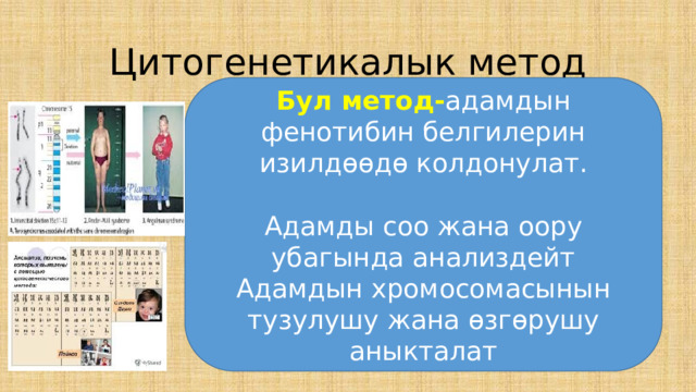 Цитогенетикалык метод Бул метод- адамдын фенотибин белгилерин изилд ѳѳ д ѳ колдонулат. Адамды соо жана оору убагында анализдейт Адамдын хромосомасынын тузулушу жана ѳзгѳрушу аныкталат 