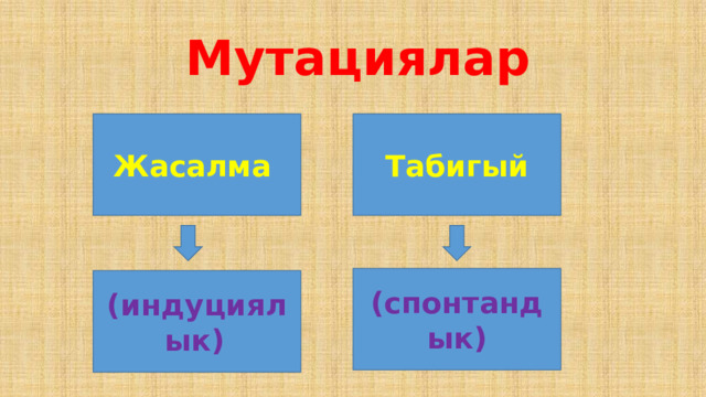  Мутациялар Жасалма  Табигый (спонтандык) (индуциялык)  