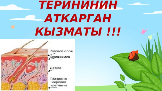 Сабактын темасы: ТЕРИНИНИН АТКАРГАН КЫЗМАТЫ !!! 