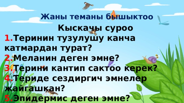 Жаны теманы бышыктоо  Кыскачы суроо  1. Теринин тузулушу канча катмардан турат?  2. Меланин деген эмне?  3. Терини кантип сактоо керек?  4. Териде сездиргич эмнелер жайгашкан?  5. Эпидермис деген эмне?  6. Кичинекей бала кайсы оору менен ооруйт?  7. Тери кандай кызмат аткарат?   