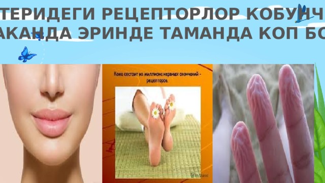 ТЕРИДЕГИ РЕЦЕПТОРЛОР КОБУНЧО АЛАКАНДА ЭРИНДЕ ТАМАНДА КОП БОЛОТ. 