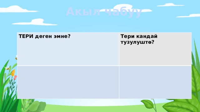 Акыл чабуу ТЕРИ деген эмне?  Тери кандай тузулушт ѳ? 
