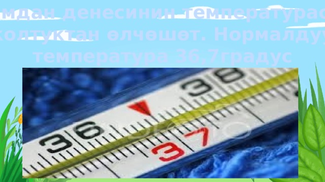 Адамдан денесинин температурасын колтуктан ѳ лч ѳ ш ѳ т. Нормалдуу температура 36,7градус   