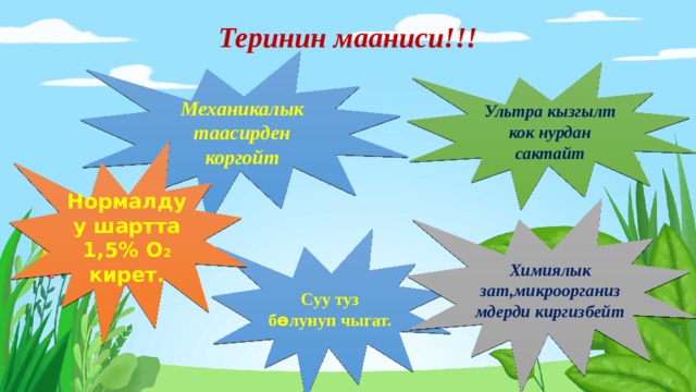 Теринин мааниси!!! Механикалык таасирден коргойт Ультра кызгылт кок нурдан сактайт Нормалдуу шартта 1,5% О 2 кирет. Химиялык зат,микроорганизмдерди киргизбейт Суу туз б ѳ лунуп чыгат.  