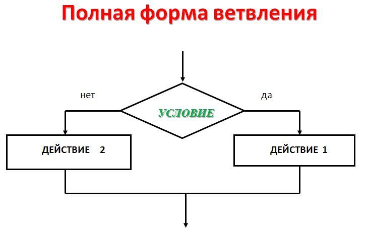 Условная блок схема. Полное ветвление блок схема. Схема условного алгоритма. Блок схема условного алгоритма. Блок схема if else.