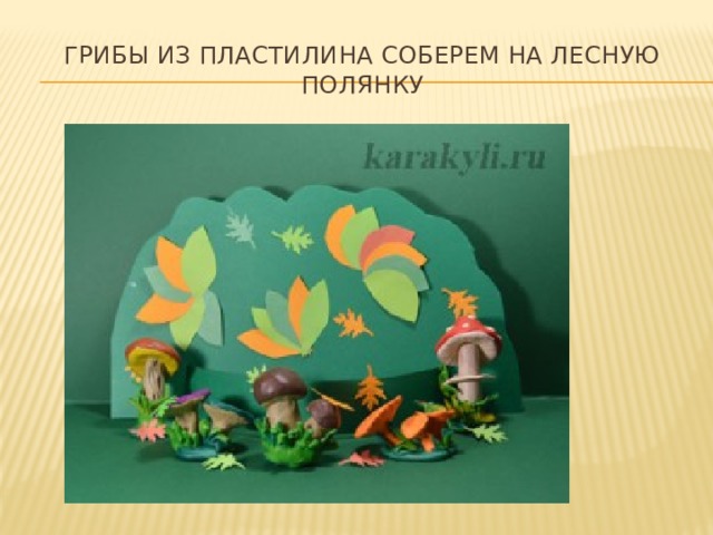 Проект грибы в старшей группе