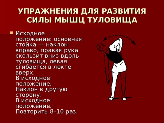 УПРАЖНЕНИЯ ДЛЯ РАЗВИТИЯ СИЛЫ МЫШЦ ТУЛОВИЩА Исходное положение: основная стойка — наклон вправо, правая рука скользит вниз вдоль туловища, левая сгибается в локте вверх.  В исходное положение.  Наклон в другую сторону.  В исходное положение.  Повторить 8–10 раз. 