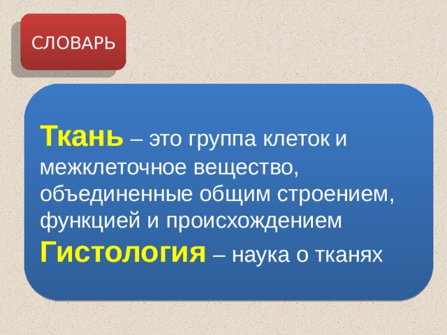 СЛОВАРЬ Ткань – это группа клеток и межклеточное вещество, объединенные общим строением, функцией и происхождением Гистология  – наука о тканях 
