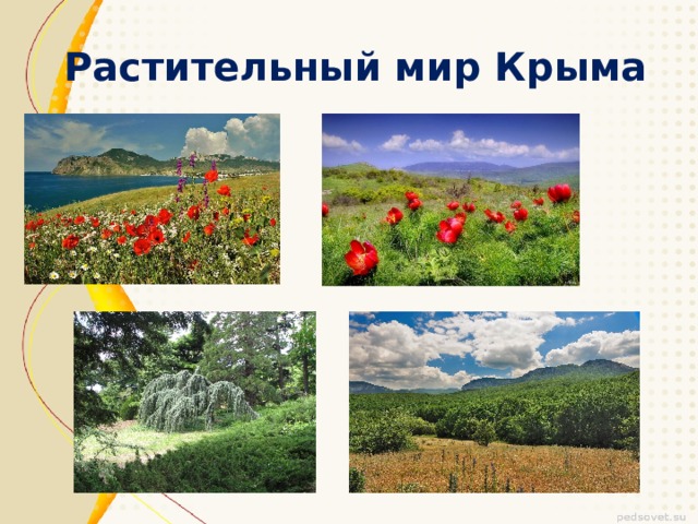 Карта растительности крыма