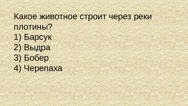Какое животное строит через реки плотины? 1) Барсук 2) Выдра 3) Бобер 4) Черепаха