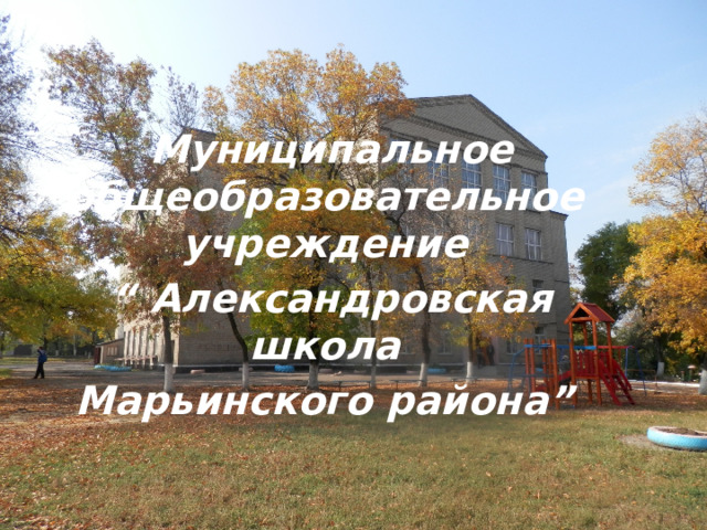 Муниципальное общеобразовательное учреждение “ Александровская школа Марьинского района” 